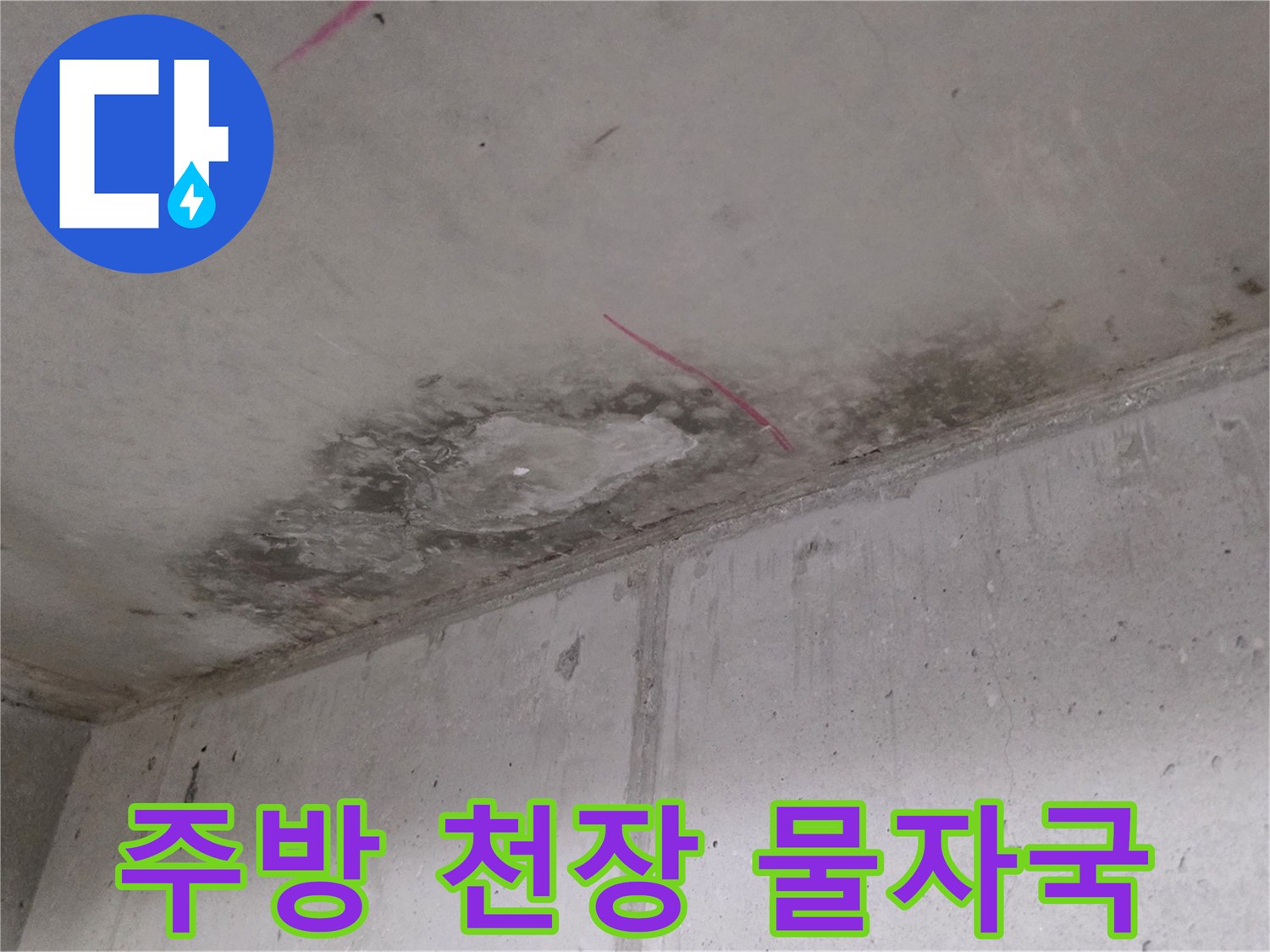 마포구 주방 천장의 누수 흔적과 곰팡이 발생 상태