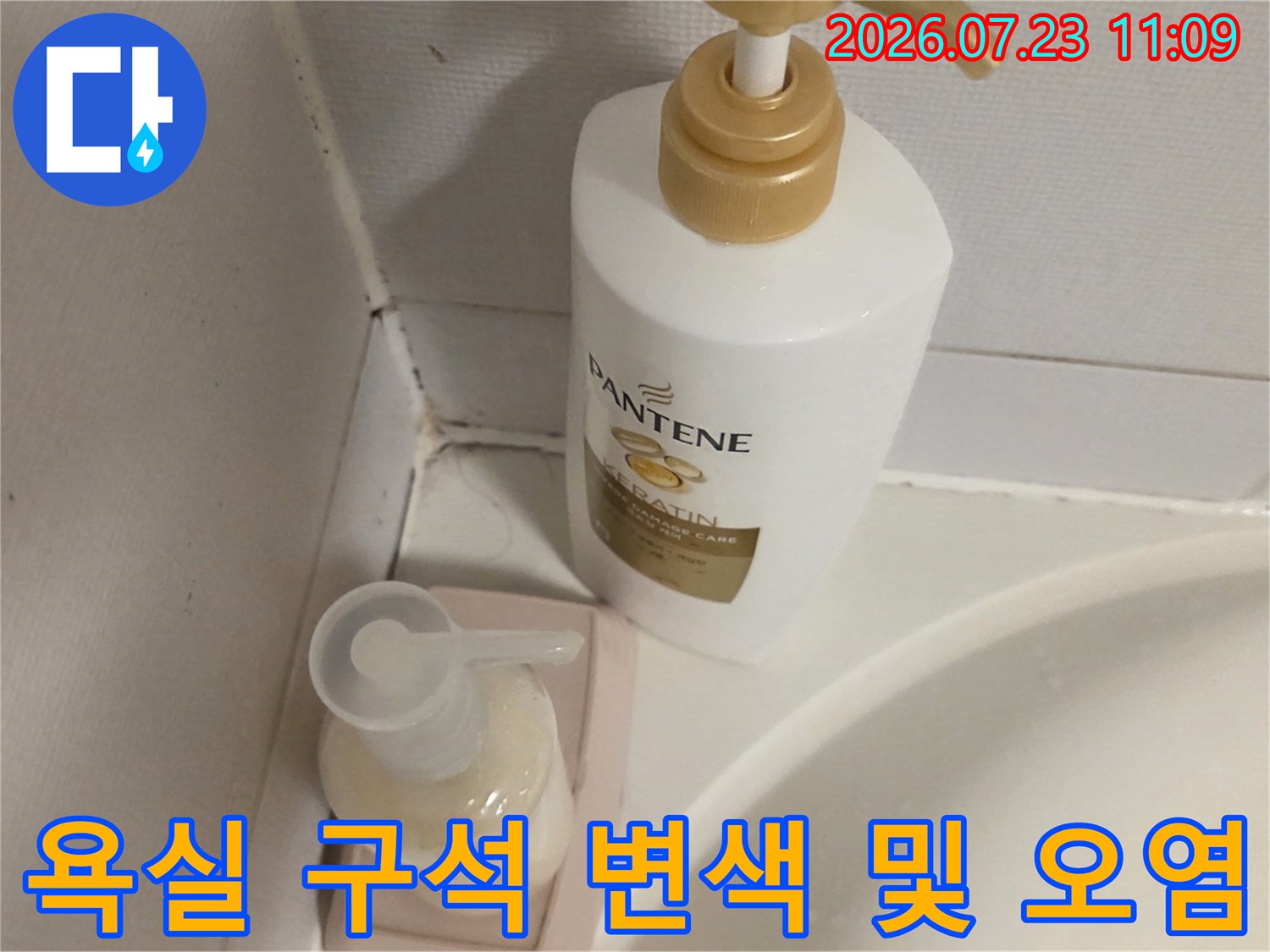 흰색 타일 사이의 실리콘 마감재에 발생한 검은 곰팡이-누수 지점 추정 사진