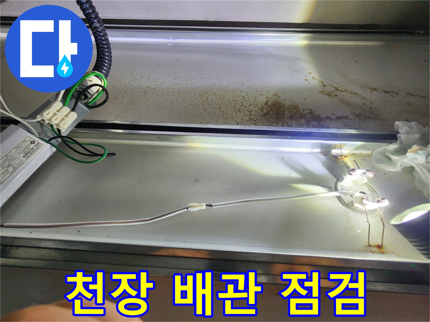 아랫집-화장실-천장-하수-배관-상태-확인