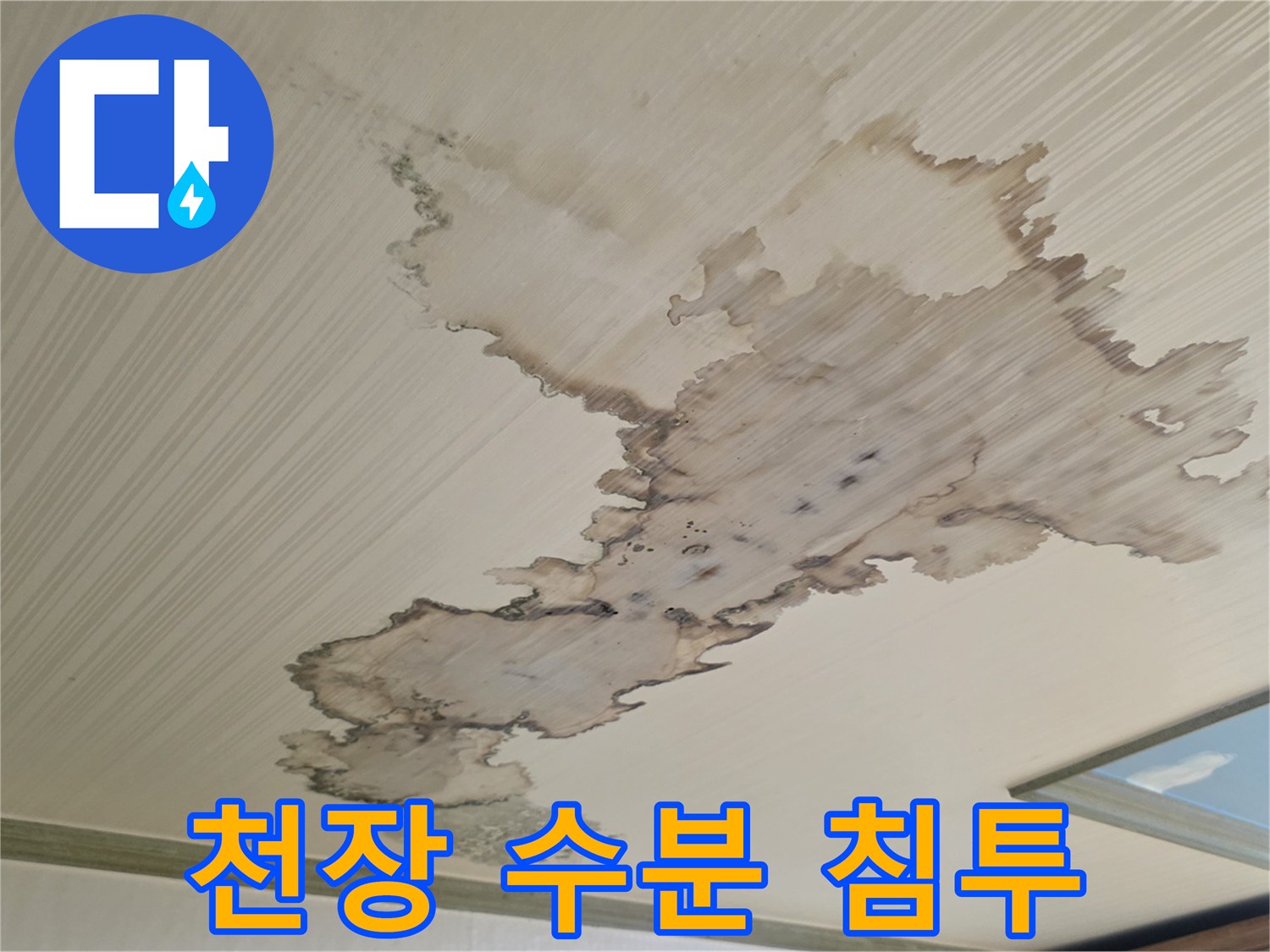 물샘 현상이 발생한 천장의 갈색 얼룩 부위