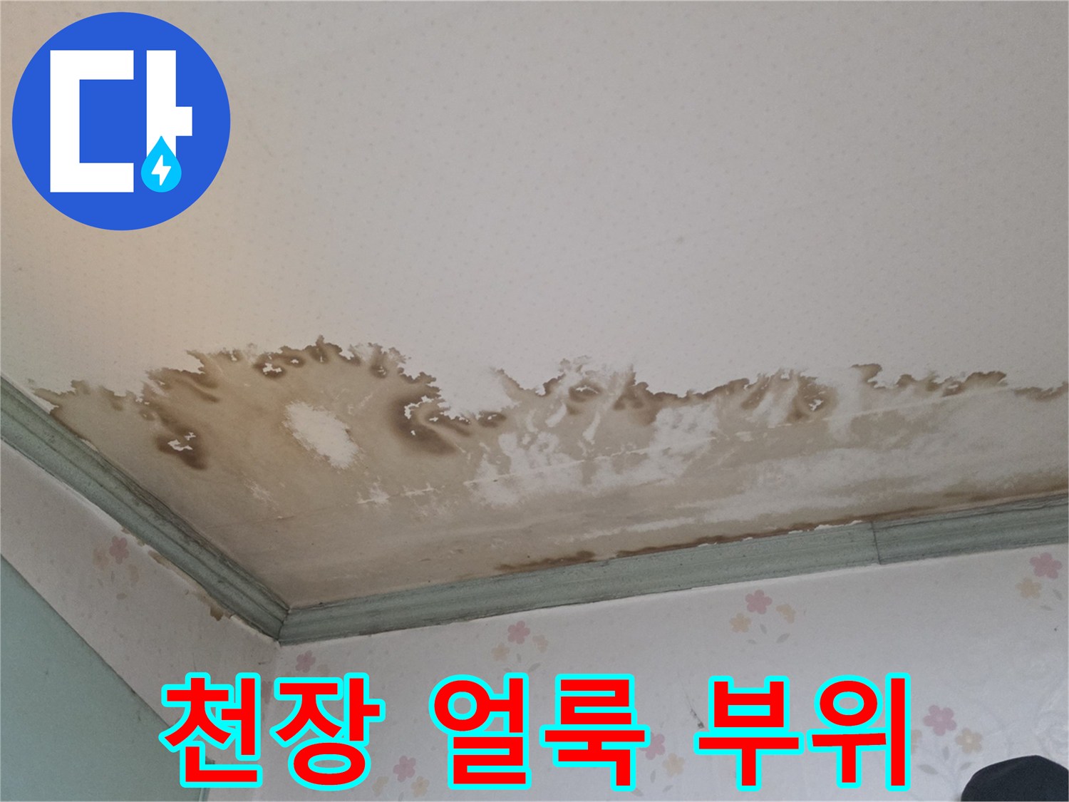 물에 젖어 변색된 천장 벽지 표면