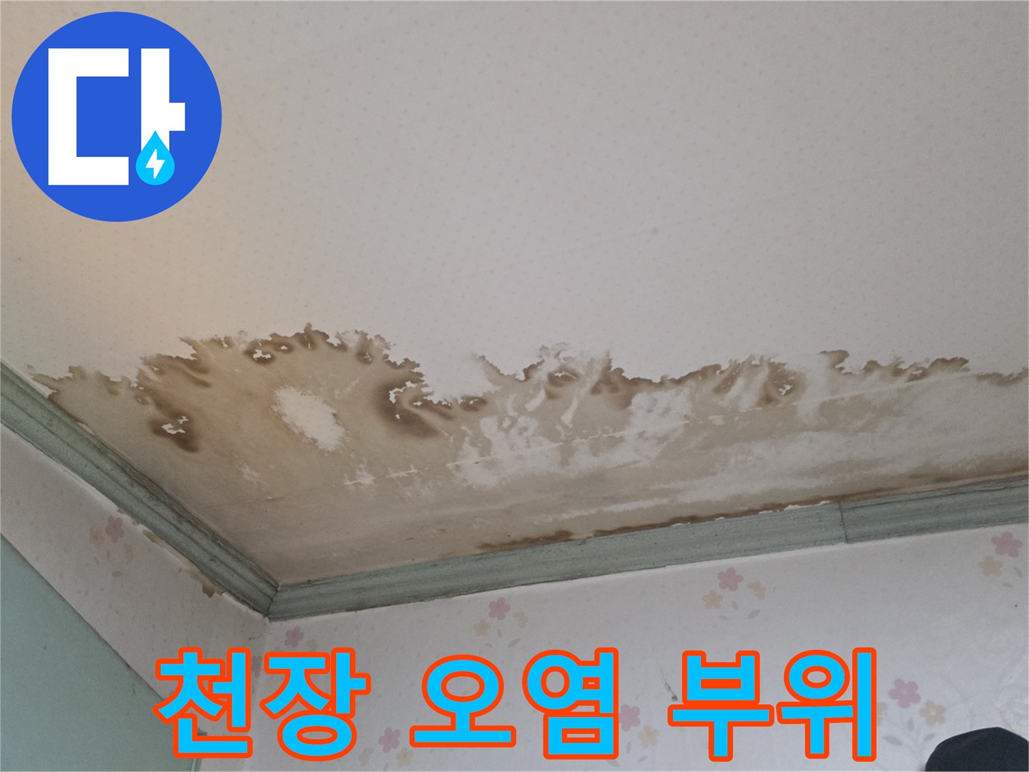 정릉동-빌라-천장-벽지-물자국-및-오염
