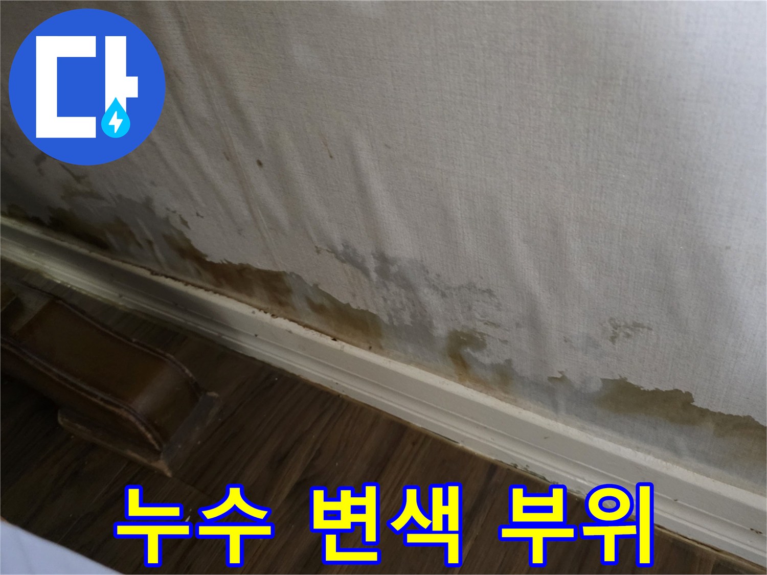 정릉동 현장 벽면 하단에 발생한 갈색 물 자국과 얼룩