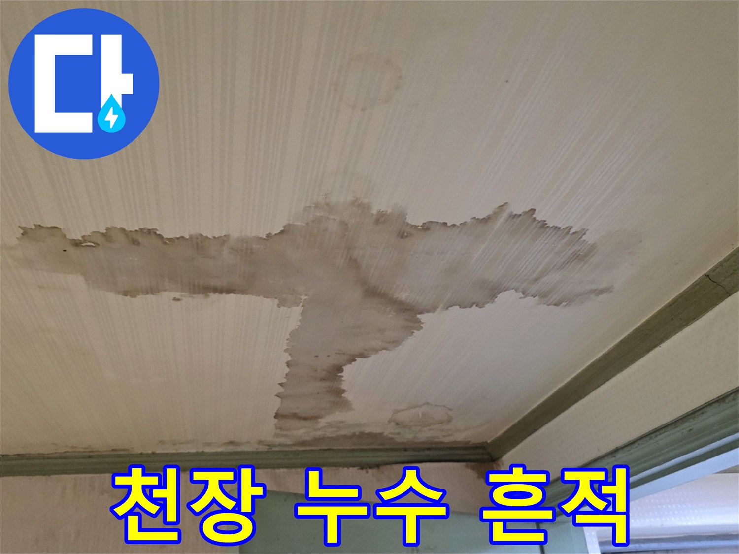 정릉동 현장 사진-천장 면에 광범위하게 나타난 수분 침투 자국