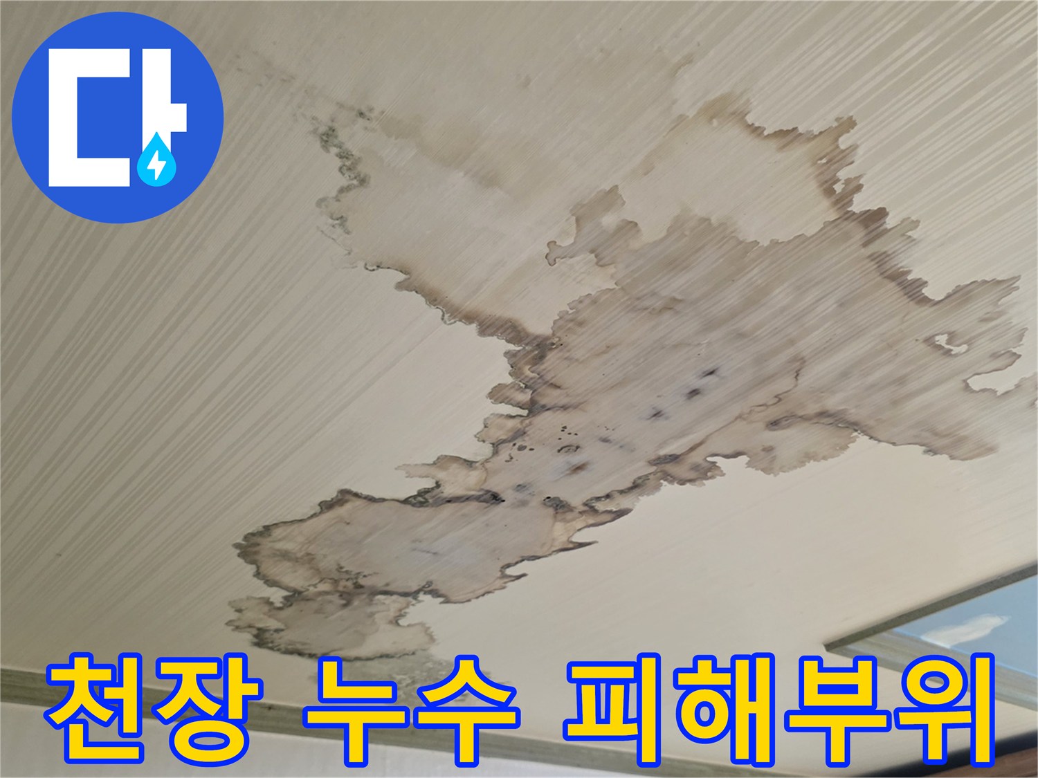 천장-마감재에-발생한-광범위한-누수-얼룩