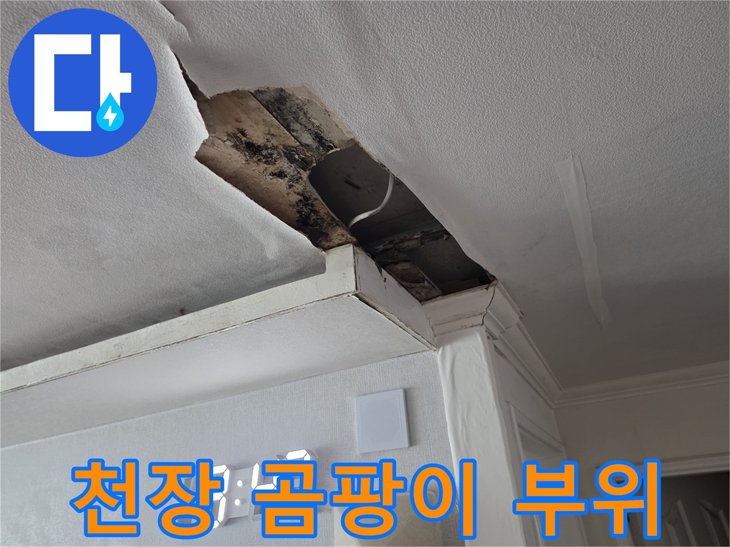 천장 내부 마감재 파손 및 오염 상태 상세