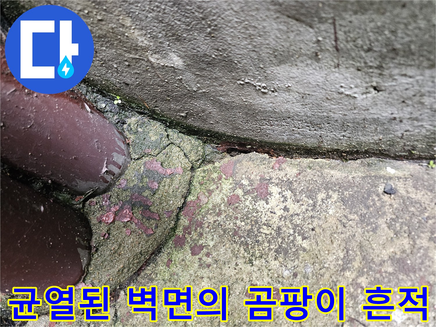갈라진 틈새를 따라-번져있는 습기와 곰팡이