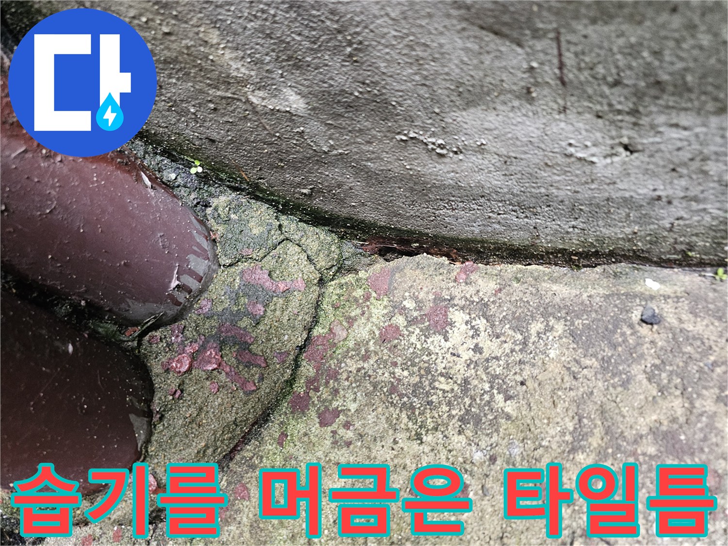 물샘-흔적이-남은-타일-경계-부분