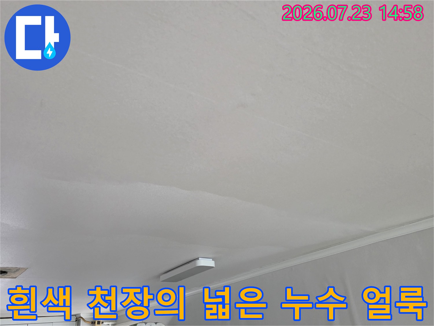 거실 천장에 발생한 넓은 범위의 물 스며듦 현상과 변색된 모습