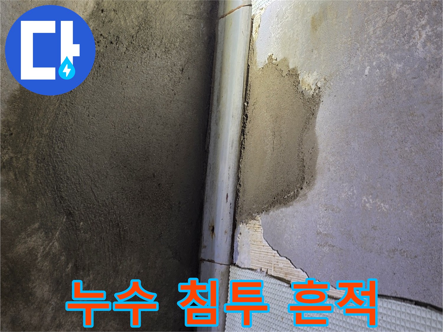 벽면 마감재-벗겨진 부위의 축축한 상태 확인