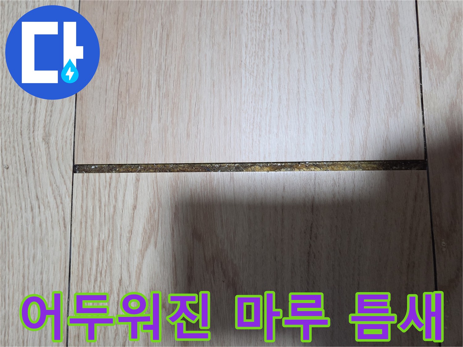 분당 현장-습기로 인해 어둡게 변한 마루 틈새 사진
