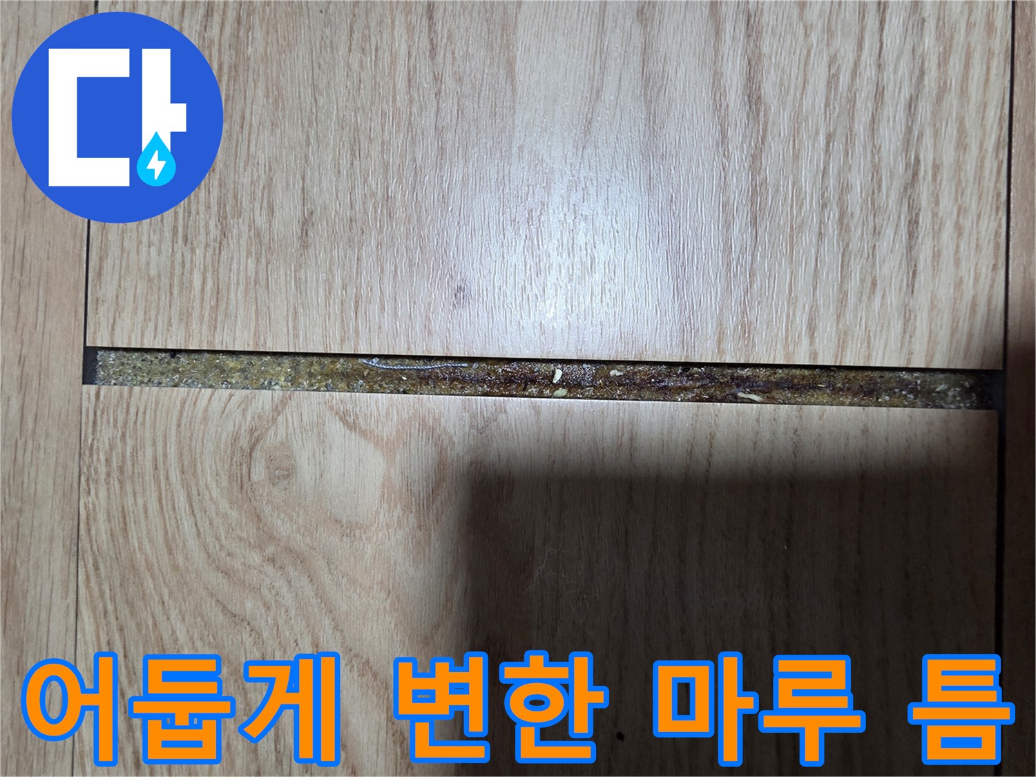 습기로 인해-갈색으로 변한 마루 틈새 부위