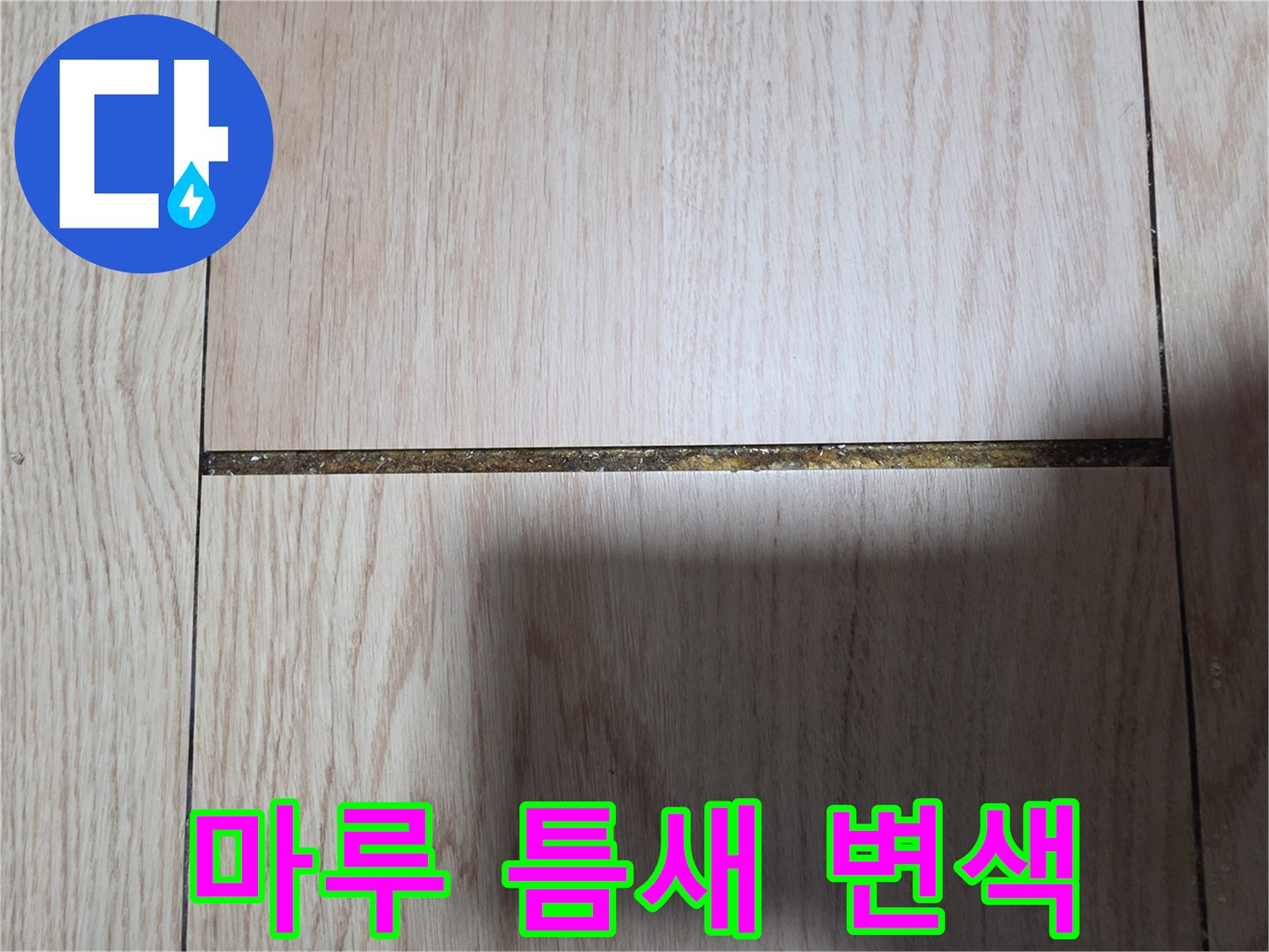 정자동 현장-마루 틈새의 변색된 상태를 보여주는 사진