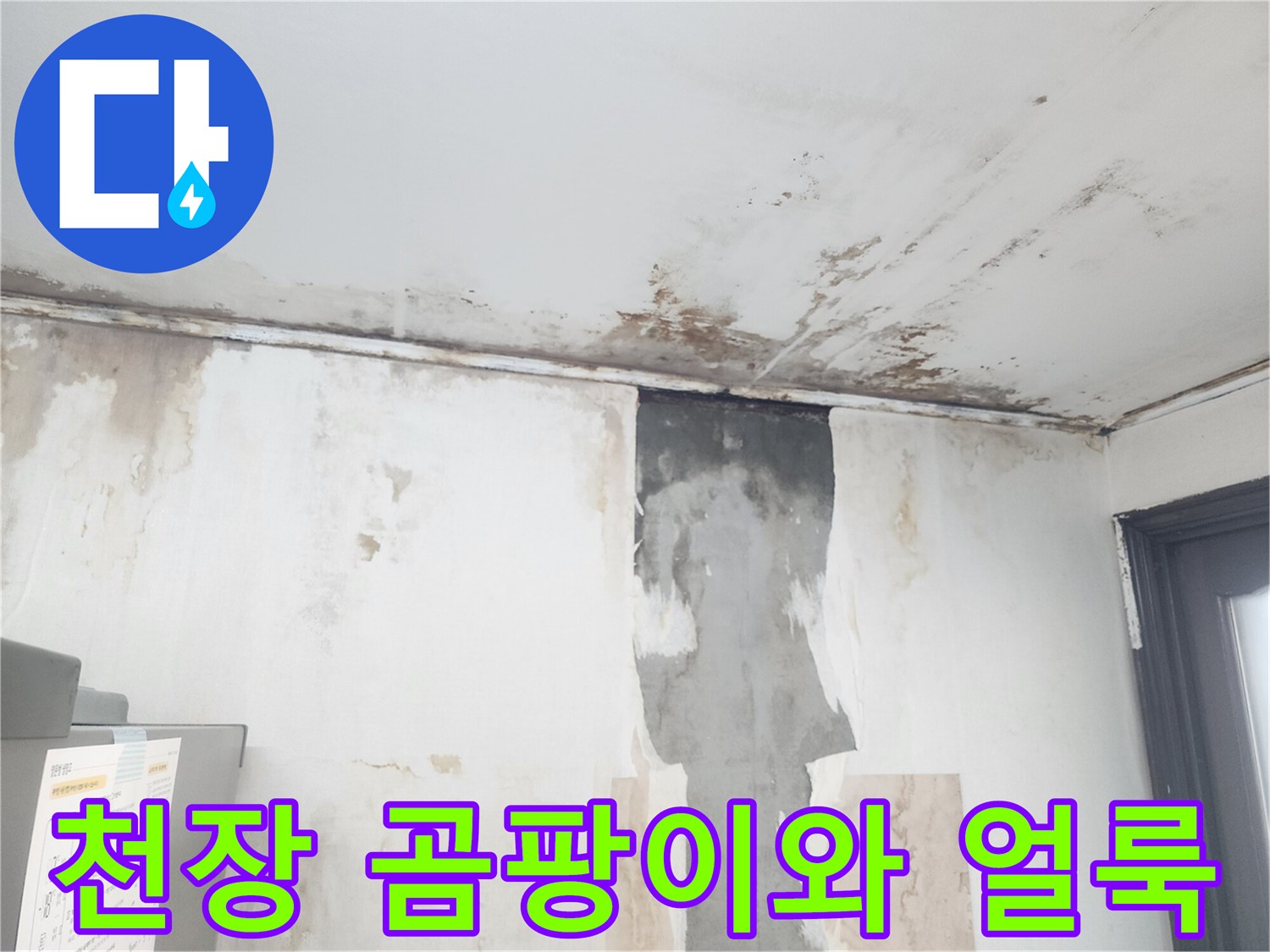 심하게 오염된 주방 천장-벽면 경계의 젖음 현상