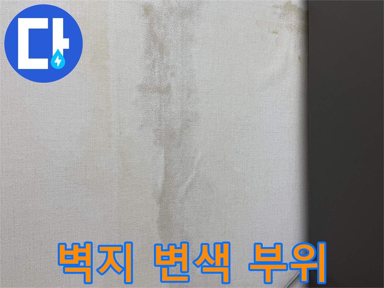 싱크대 하단 벽지 변색 - 누수 발생 흔적 조사