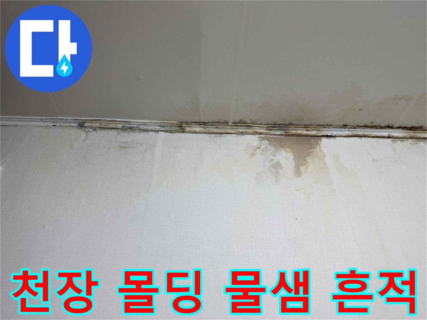 주방 천장 몰딩-물기가 스며든 벽지 오염 상태