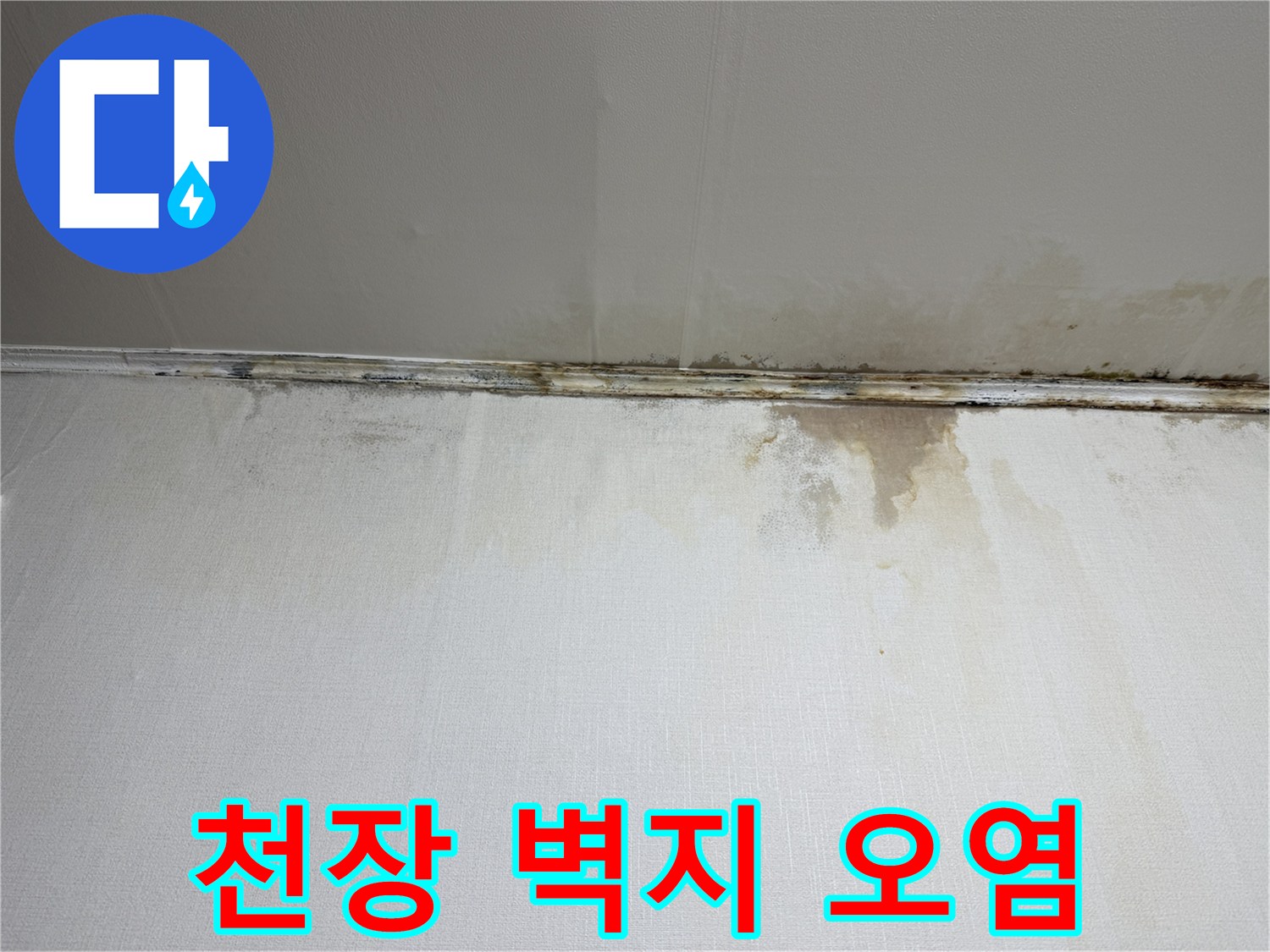 주방-천장-벽면의-심한-젖음과-곰팡이-흔적