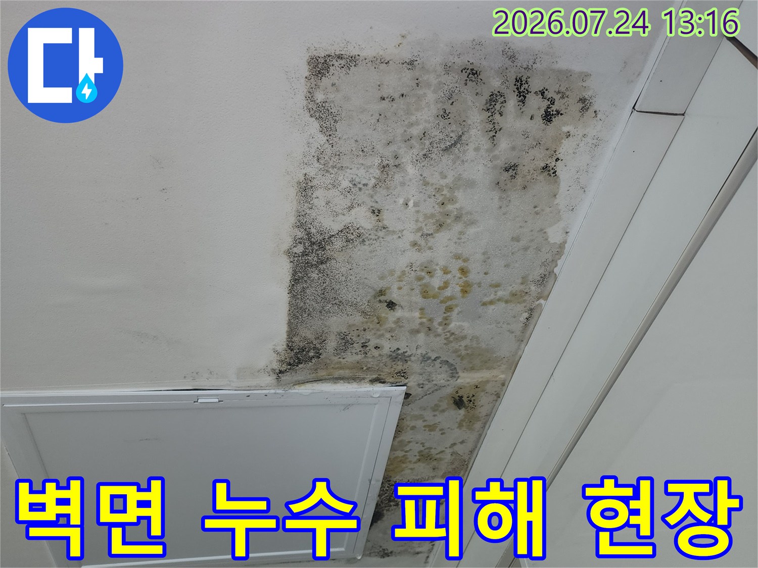 습기로 인해 변색되고 곰팡이가 발생한 벽체 사진