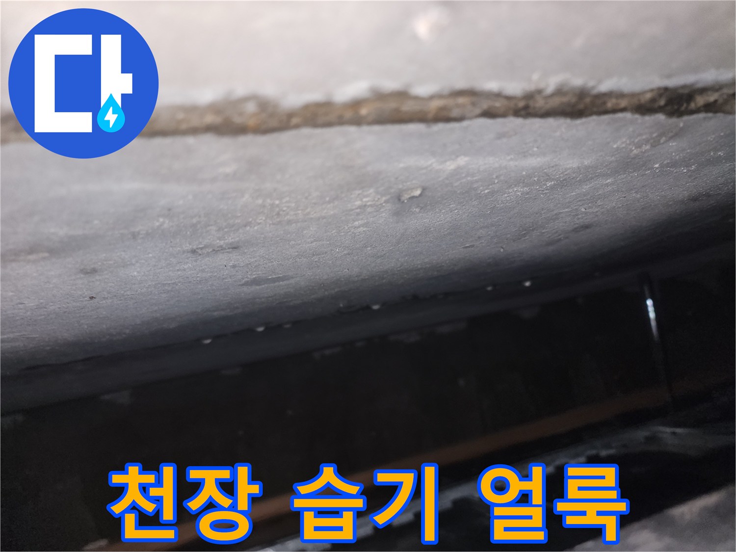 천장-마감재-표면의-젖은-얼룩-및-습기-상태