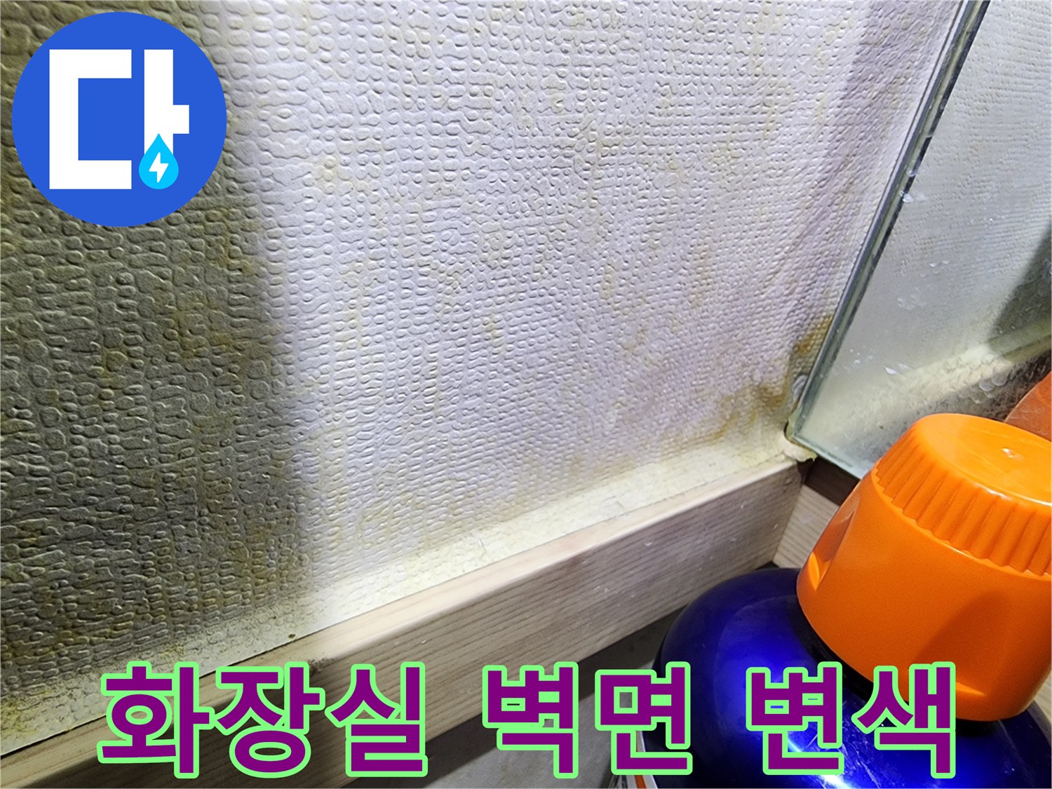 화장실-벽면-타일-사이-오염된-상태