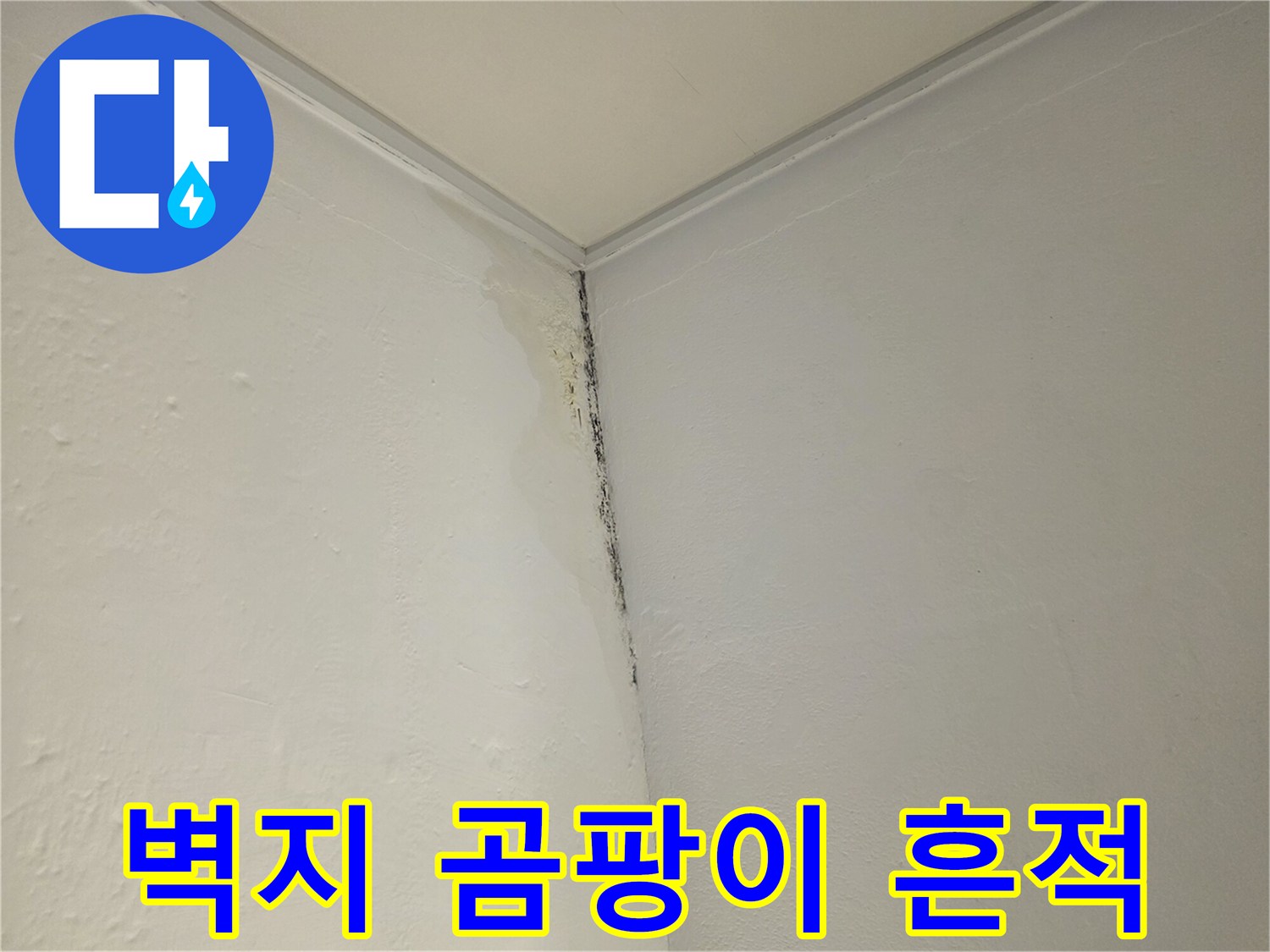 벽면 모서리-물자국과 곰팡이가 발생한 상태