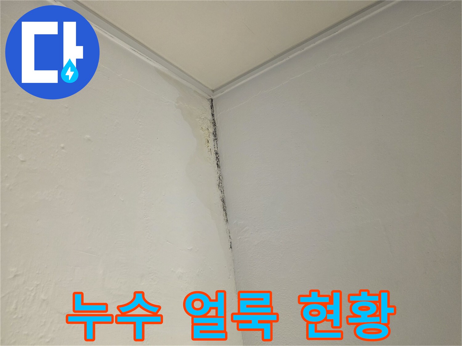 천장과 벽의 경계-누수로 인한 곰팡이와 변색 부위