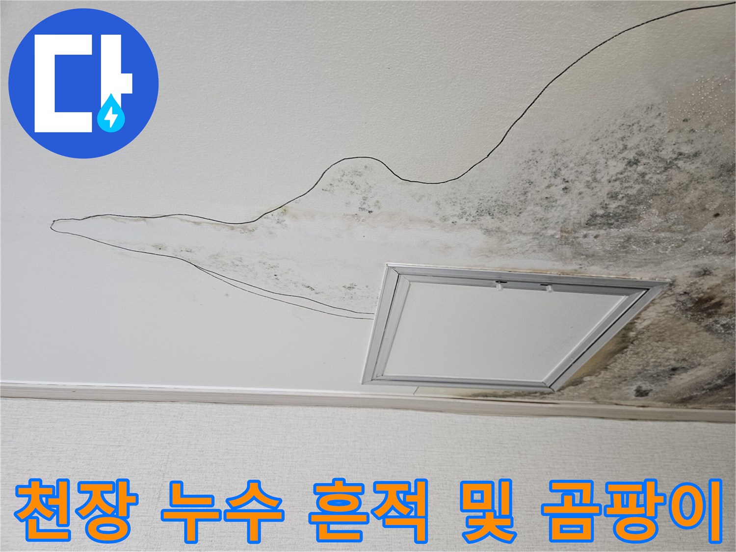 검게 변한 천장 마감재와 젖은 듯한 얼룩 부위