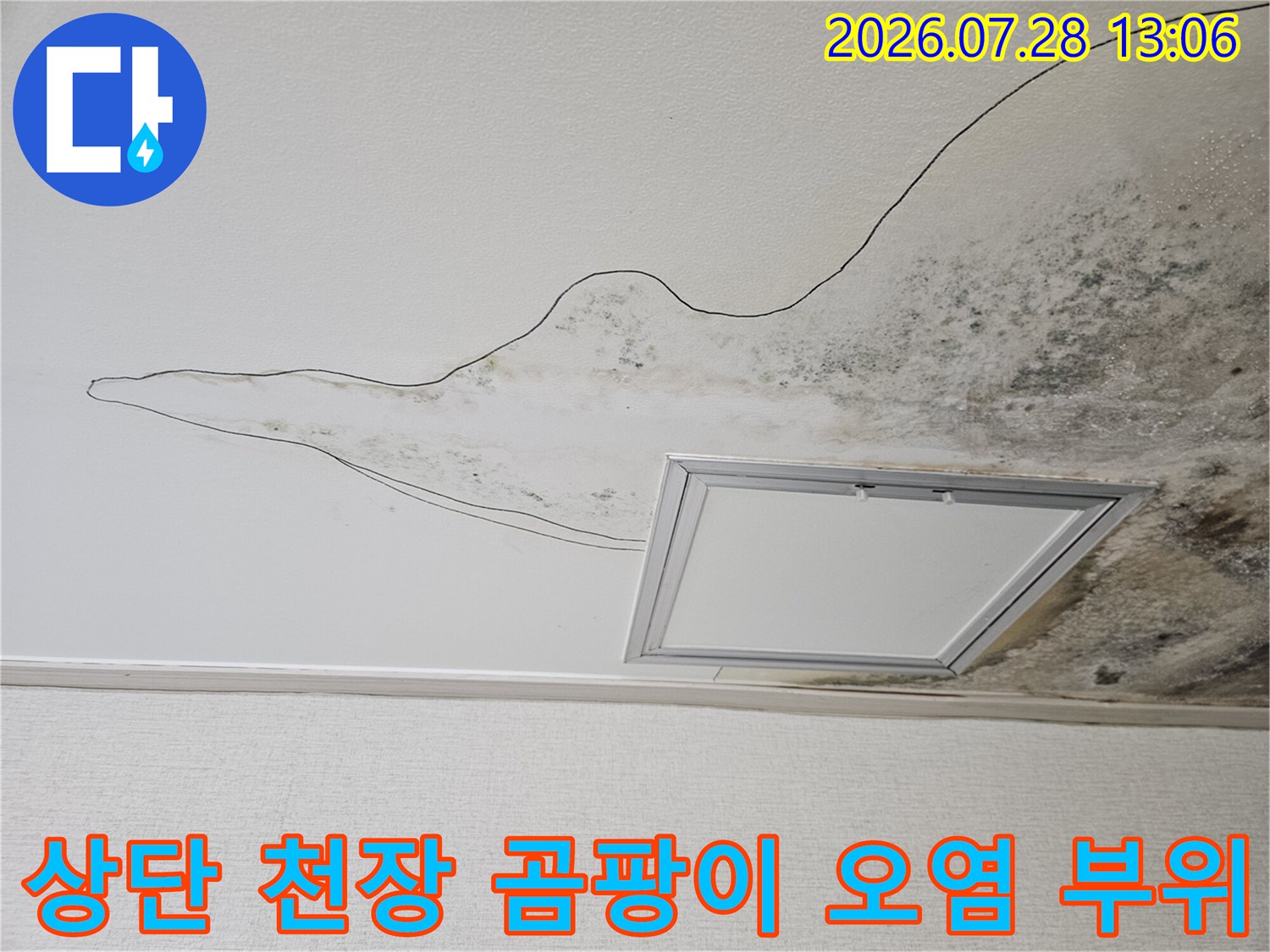 곰팡이가 번진 주방 천장 마감재와 누수 흔적 촬영
