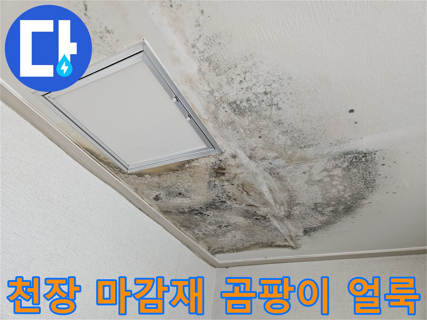 누수로 인해 검게 변한 천장 점검구 주변 부위