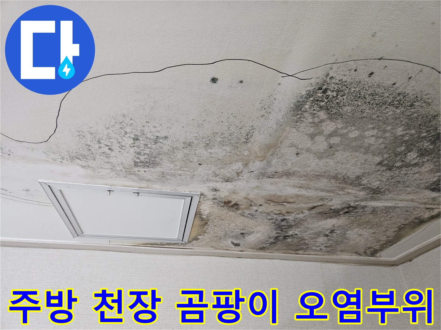 누수로 인해 곰팡이가 심하게 발생한 주방 천장 점검구 주변