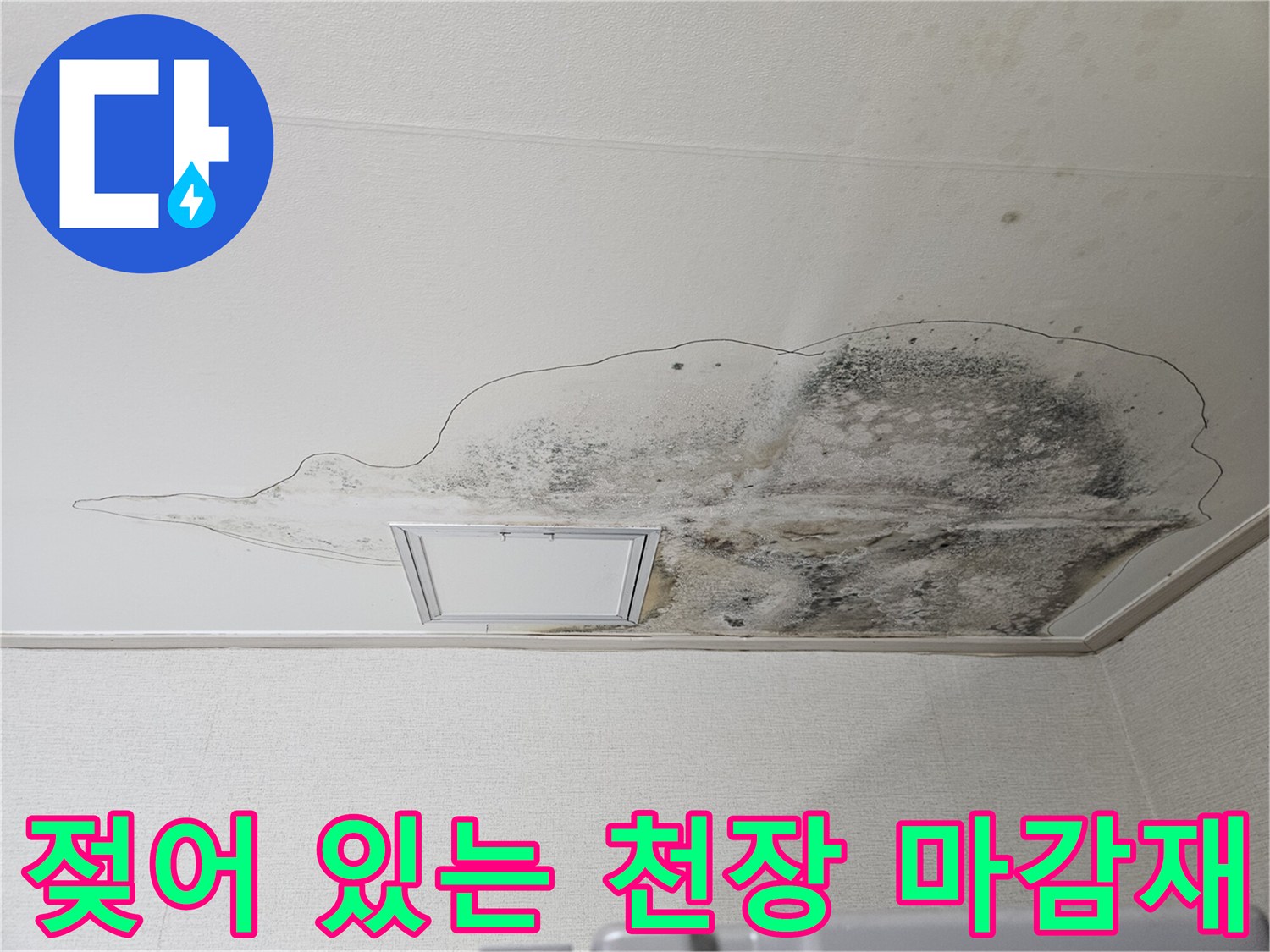 물샘으로 인해 곰팡이가 번진 주방 천장 내부 현황