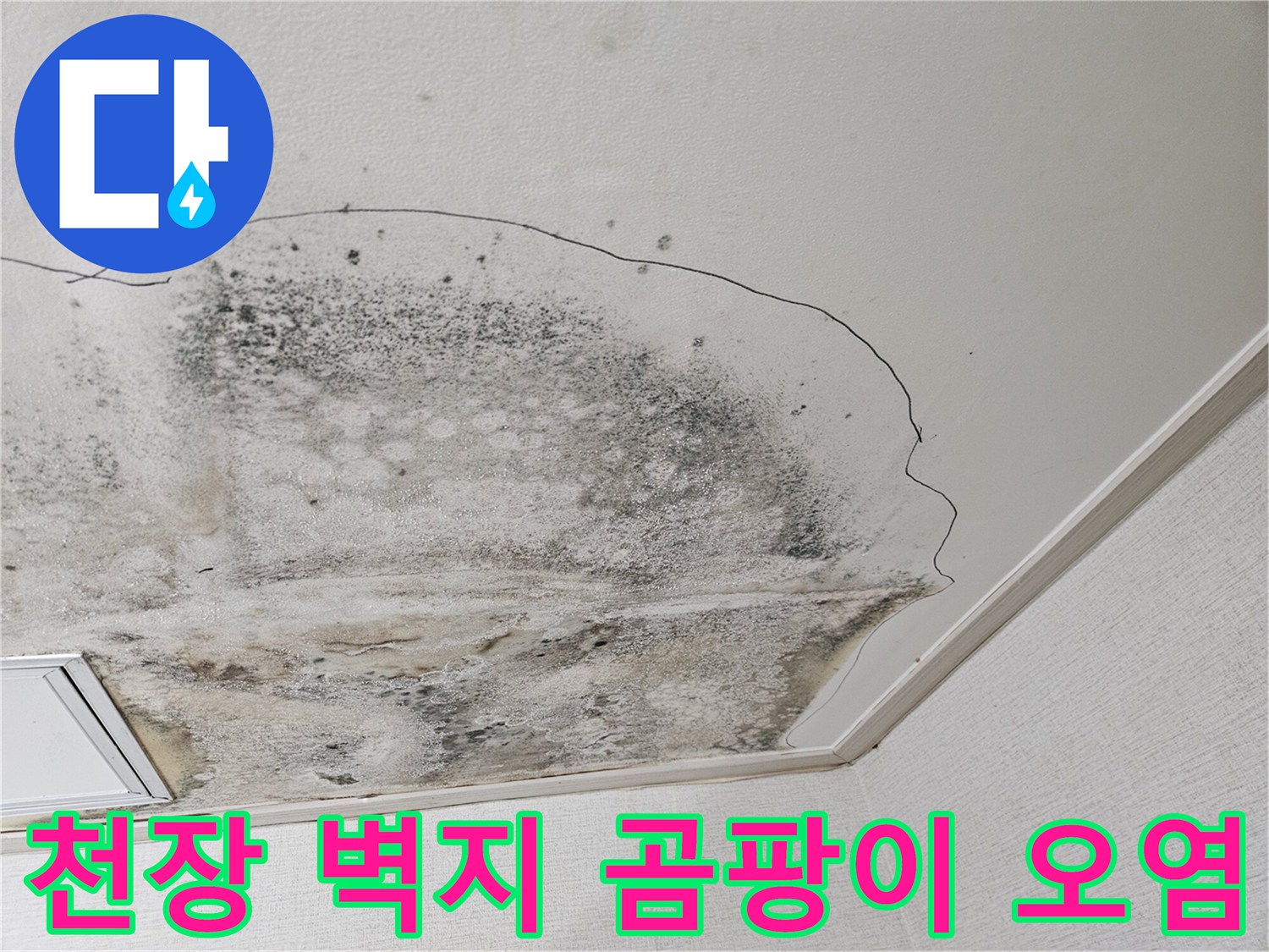 물샘으로 인해 변색되고 곰팡이가 피어오른 천장 벽지 부위