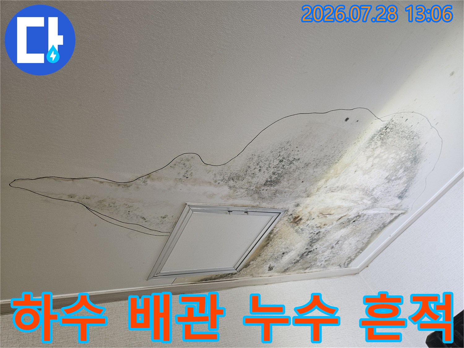 배수구 주변으로 퍼져나간 검은색 곰팡이와 수분 침투 경로
