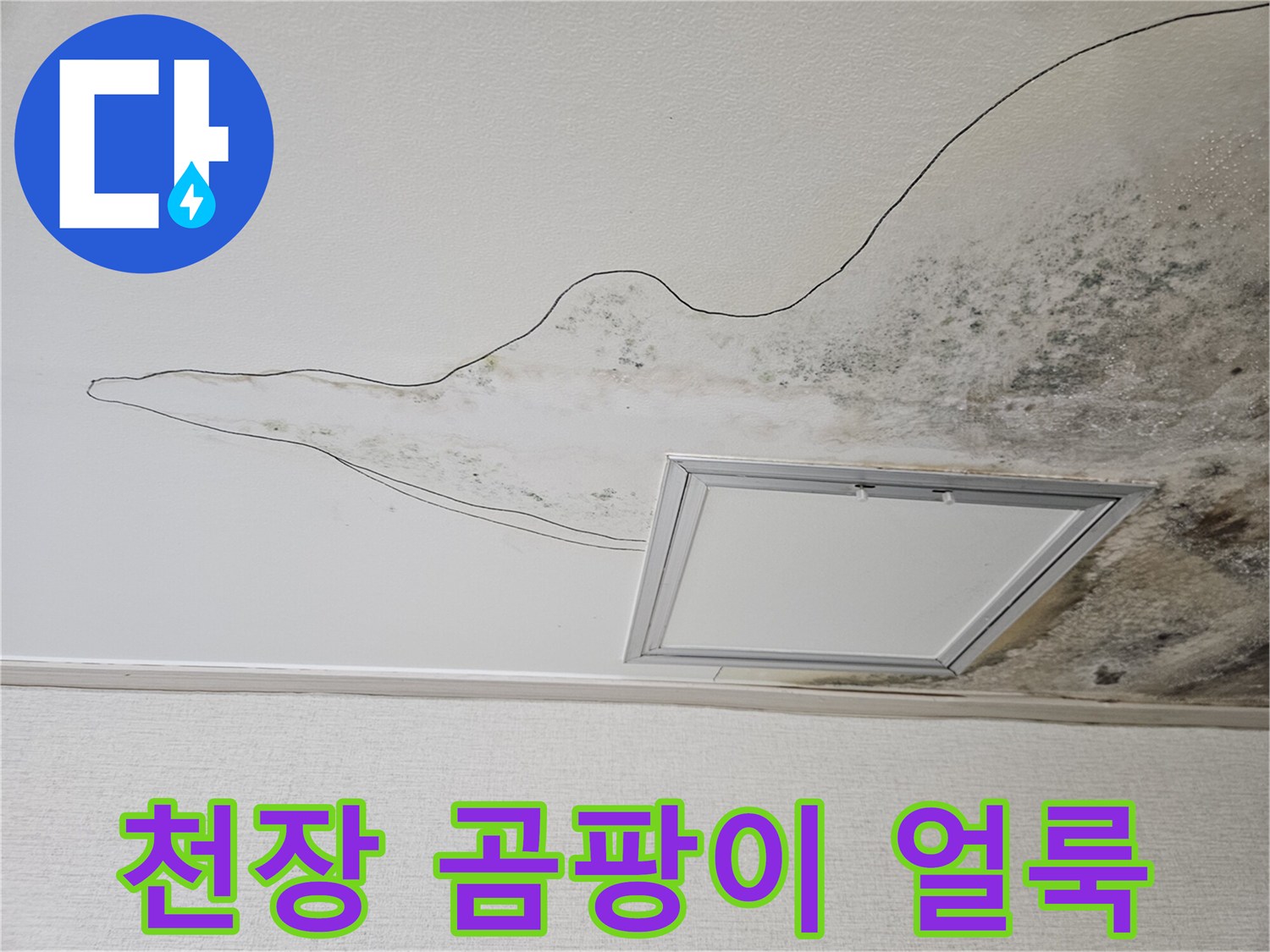 심하게 오염된 주방 천장 마감재와 누수 흔적