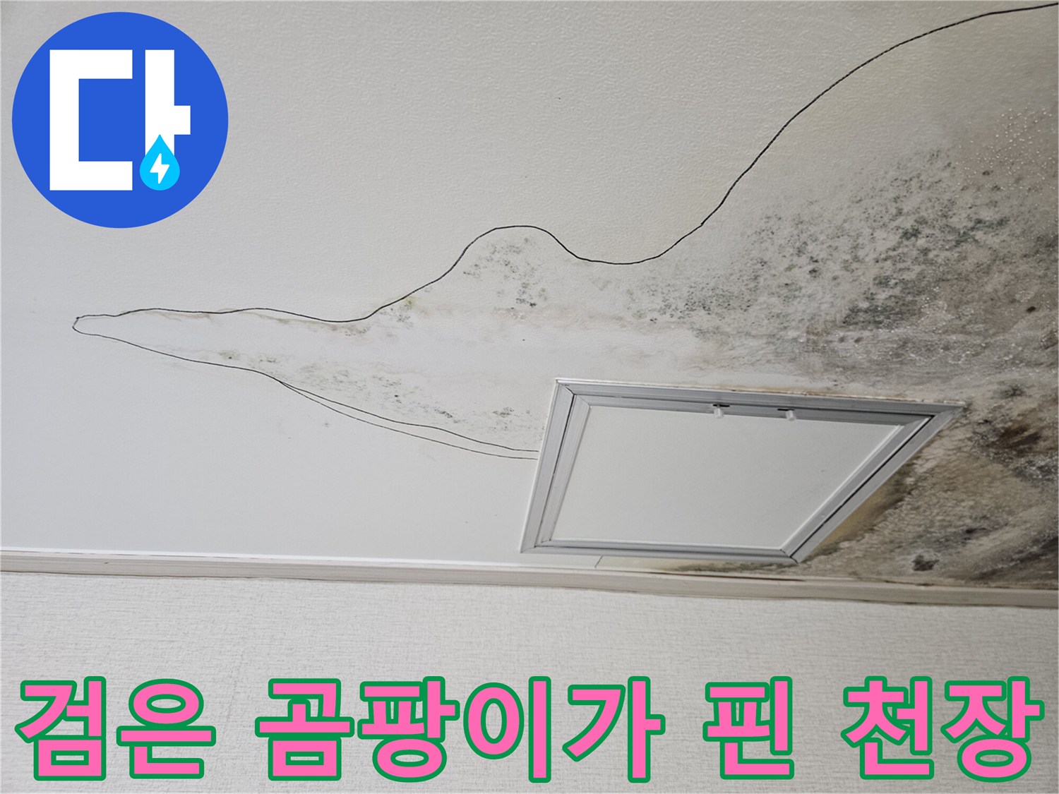 주방 천장 구석까지 번진 검은 곰팡이와 습기 흔적