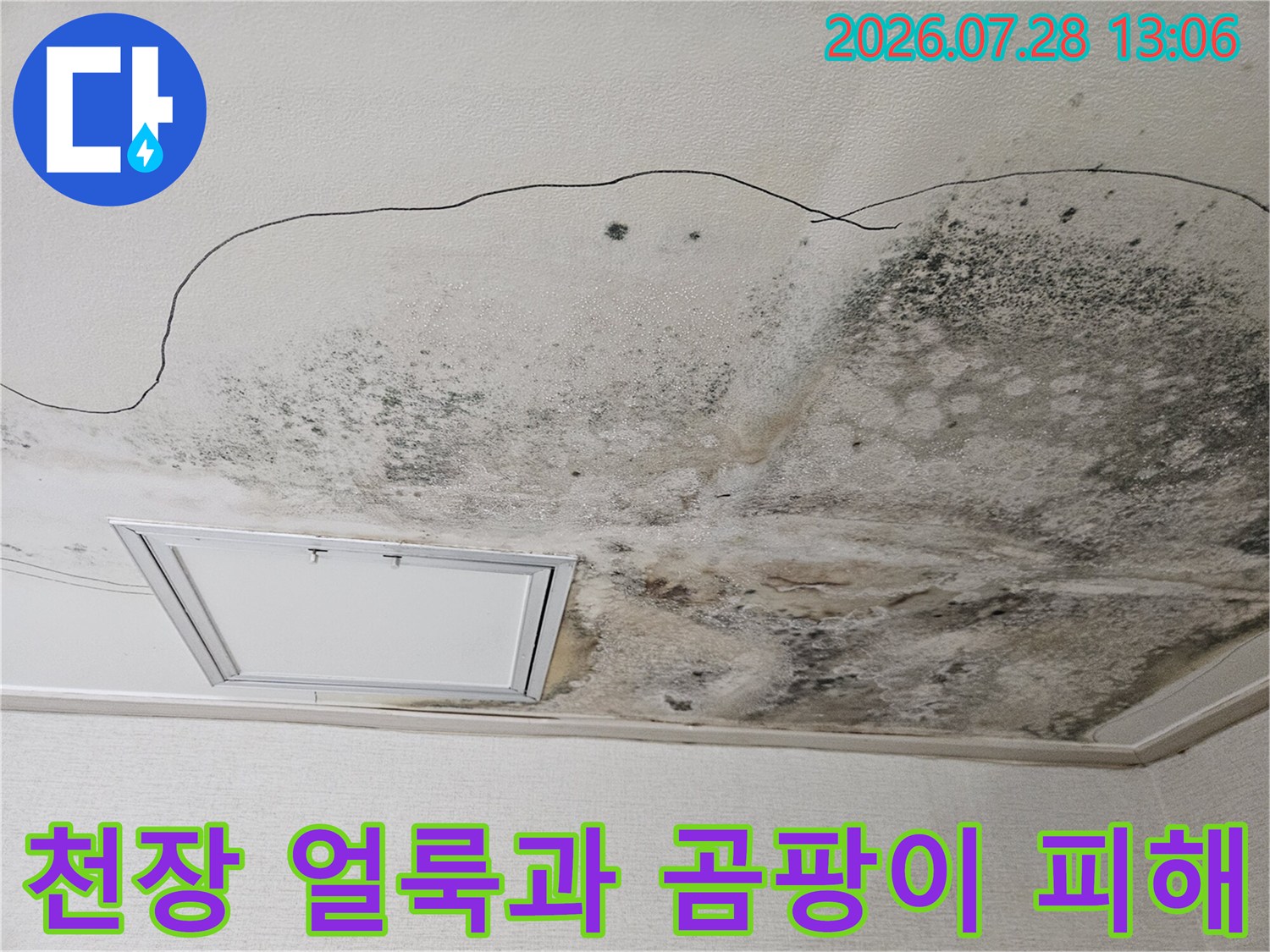 주방 천장 면적을 가득 채운 누수 흔적과 곰팡이 오염 부위