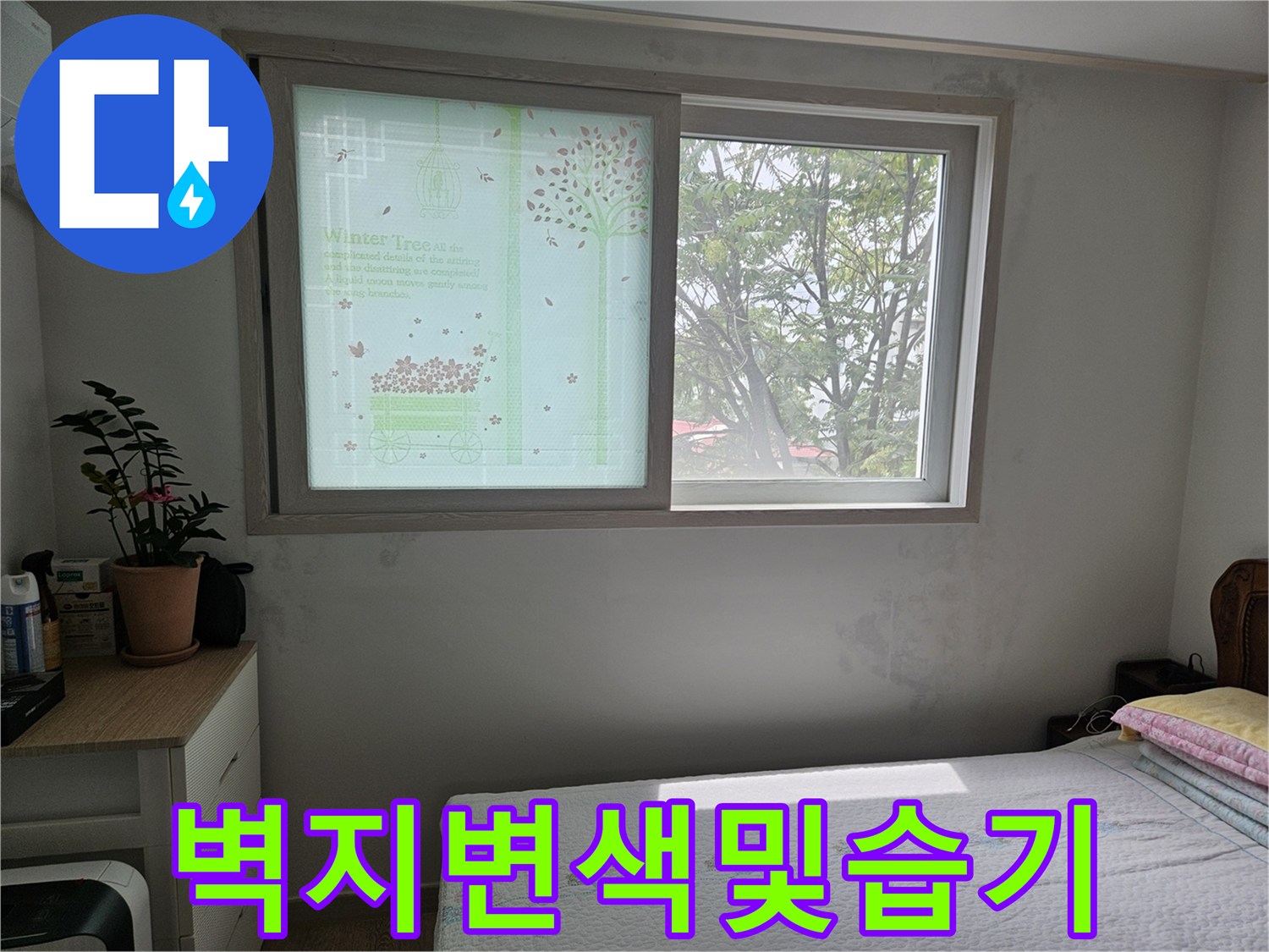 창문 아래 벽면에 번진 누수 흔적과 습기 상태