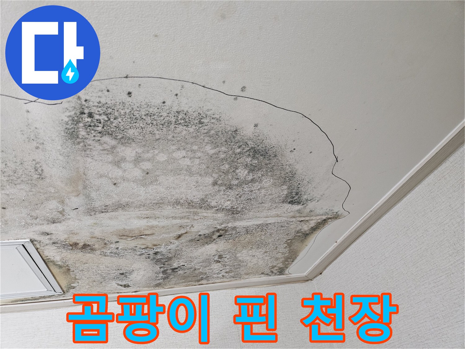 천장-마감재-부위의-심한-물샘-및-곰팡이
