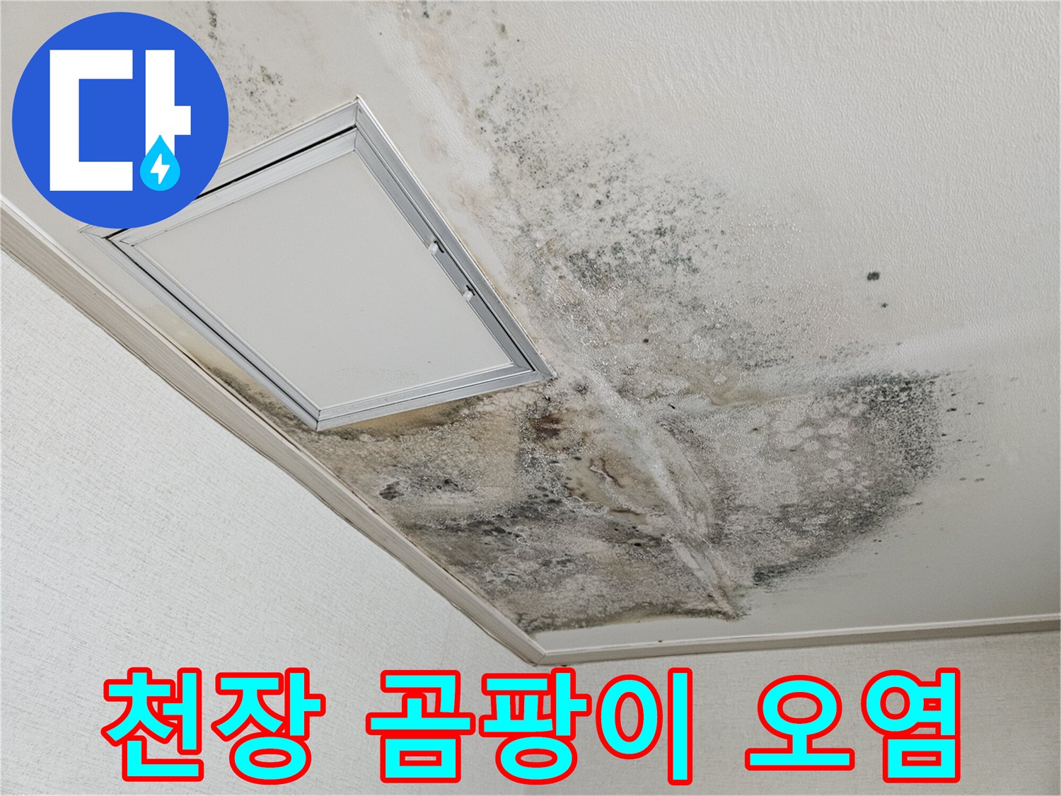 천장 마감재-습기로 인해 변색된 천장 표면