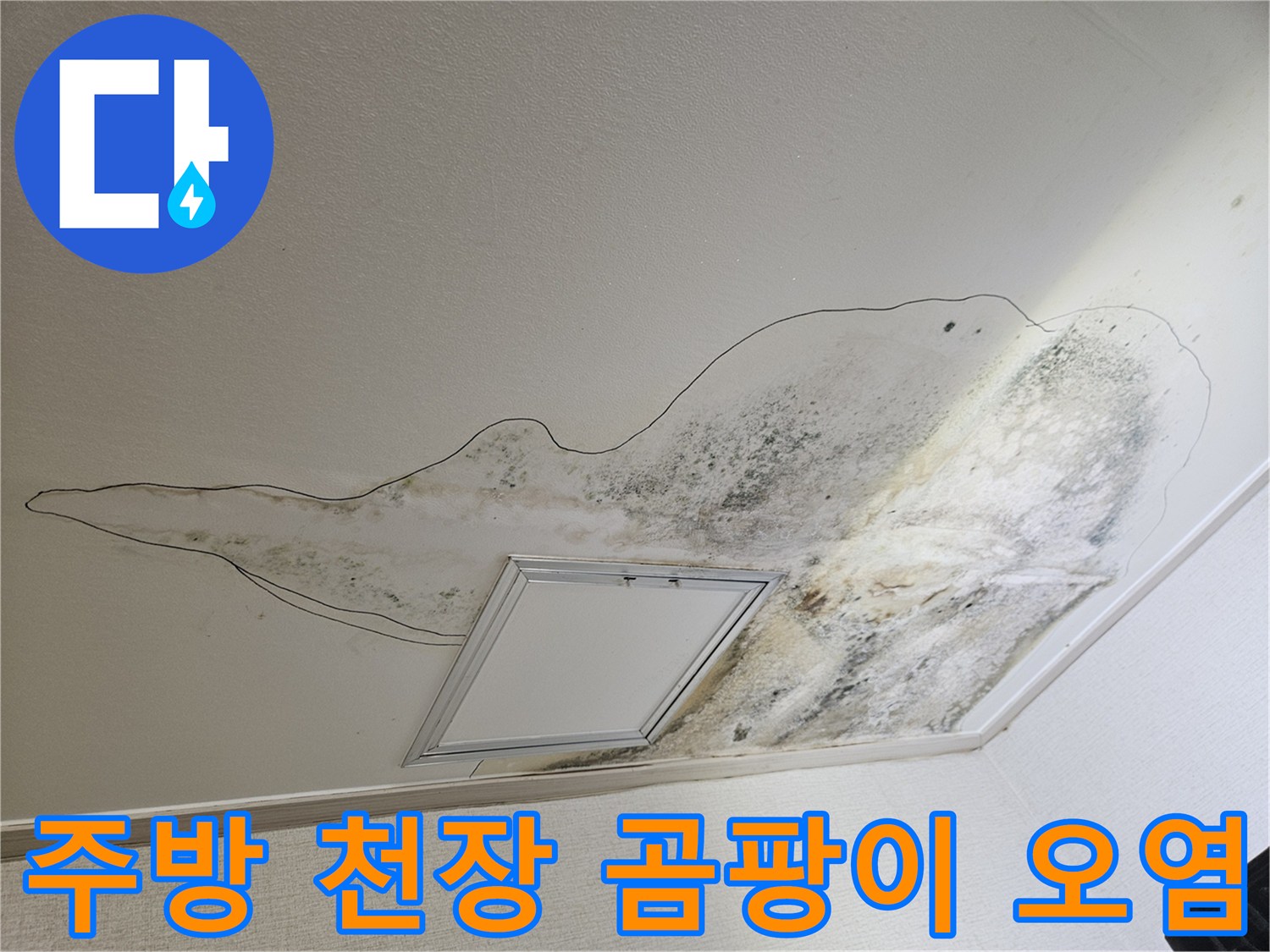천장 마감재에 나타난 심한 곰팡이와 물샘 흔적 사진