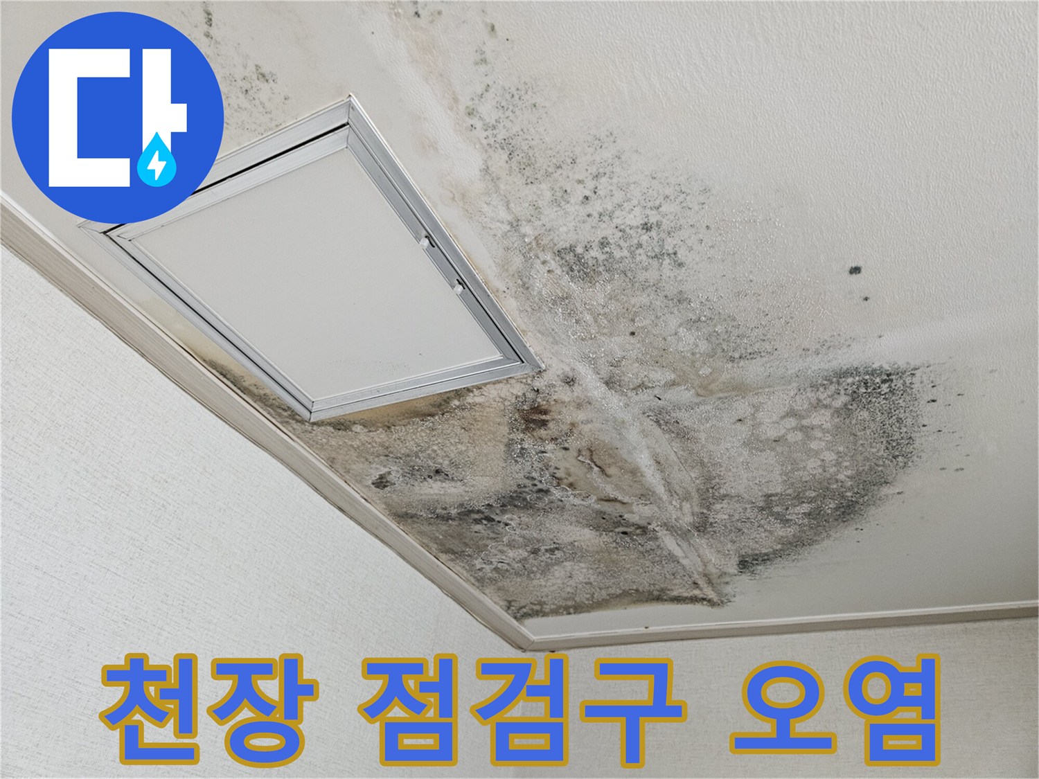 천장 점검구 부근-누수로 인한 천장 마감재 변색