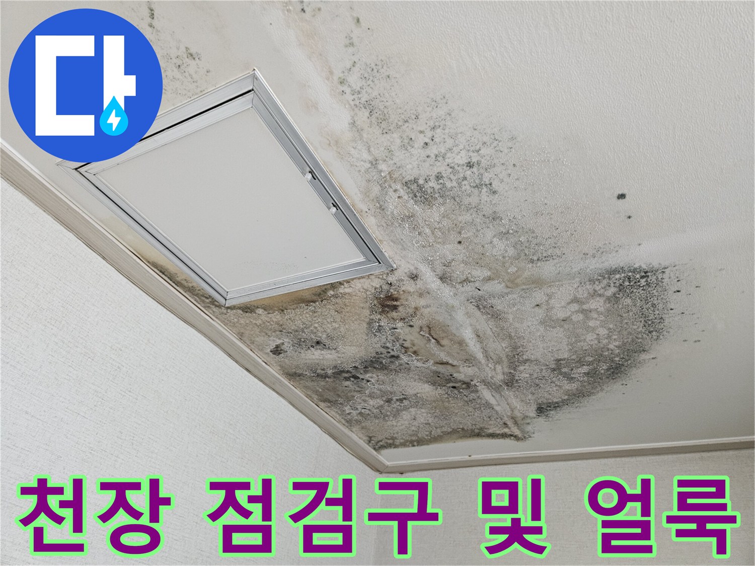 천장 점검구와 그 주변에 발생한 젖은 흔적 및 곰팡이
