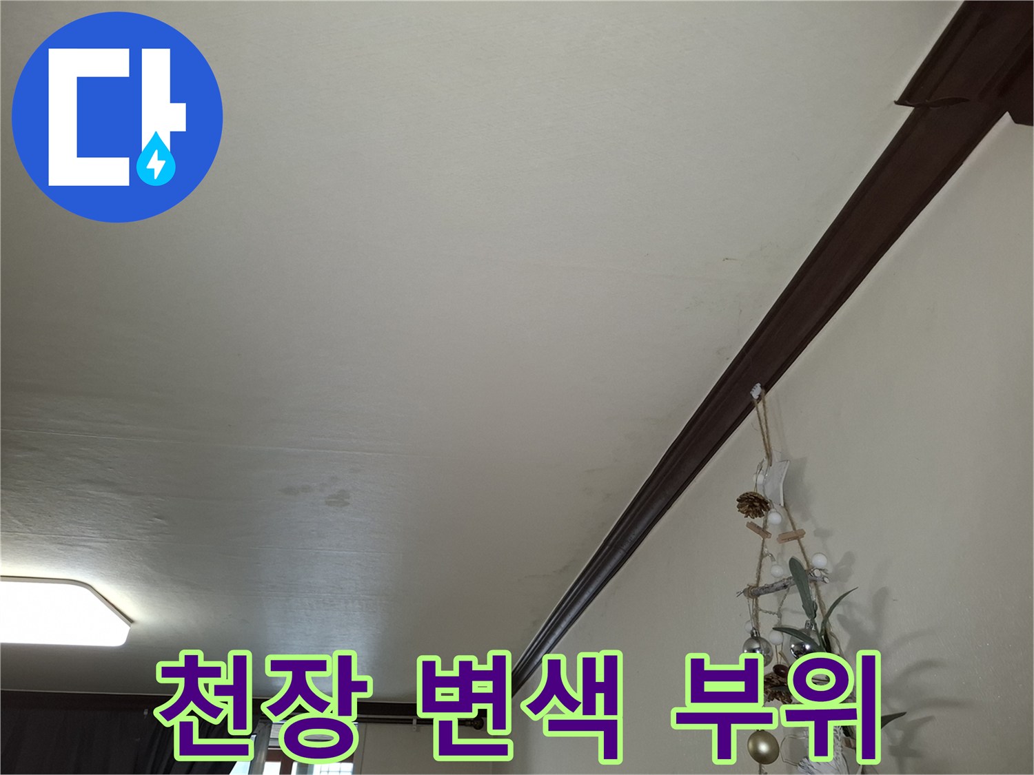 거실 천장 몰딩 근처의 어두운 얼룩 자국