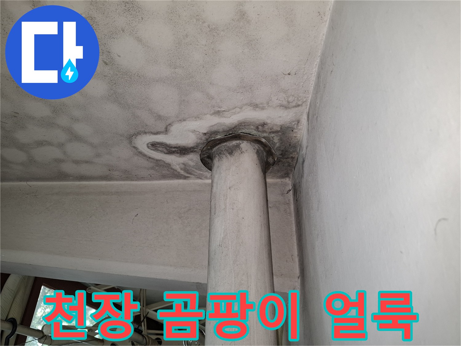 아파트 거실 천장 부근에 넓게 퍼진 곰팡이와 습기 흔적