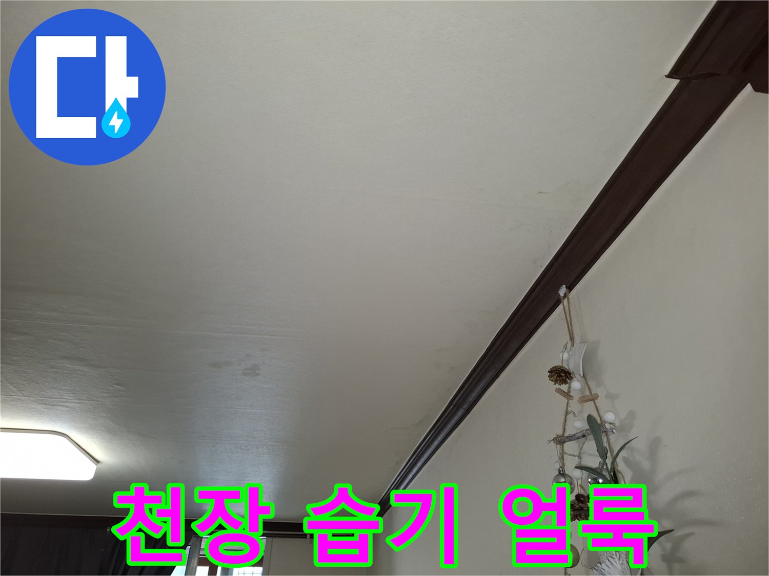 천장 몰딩 근처에 나타난 불규칙한 얼룩 패턴