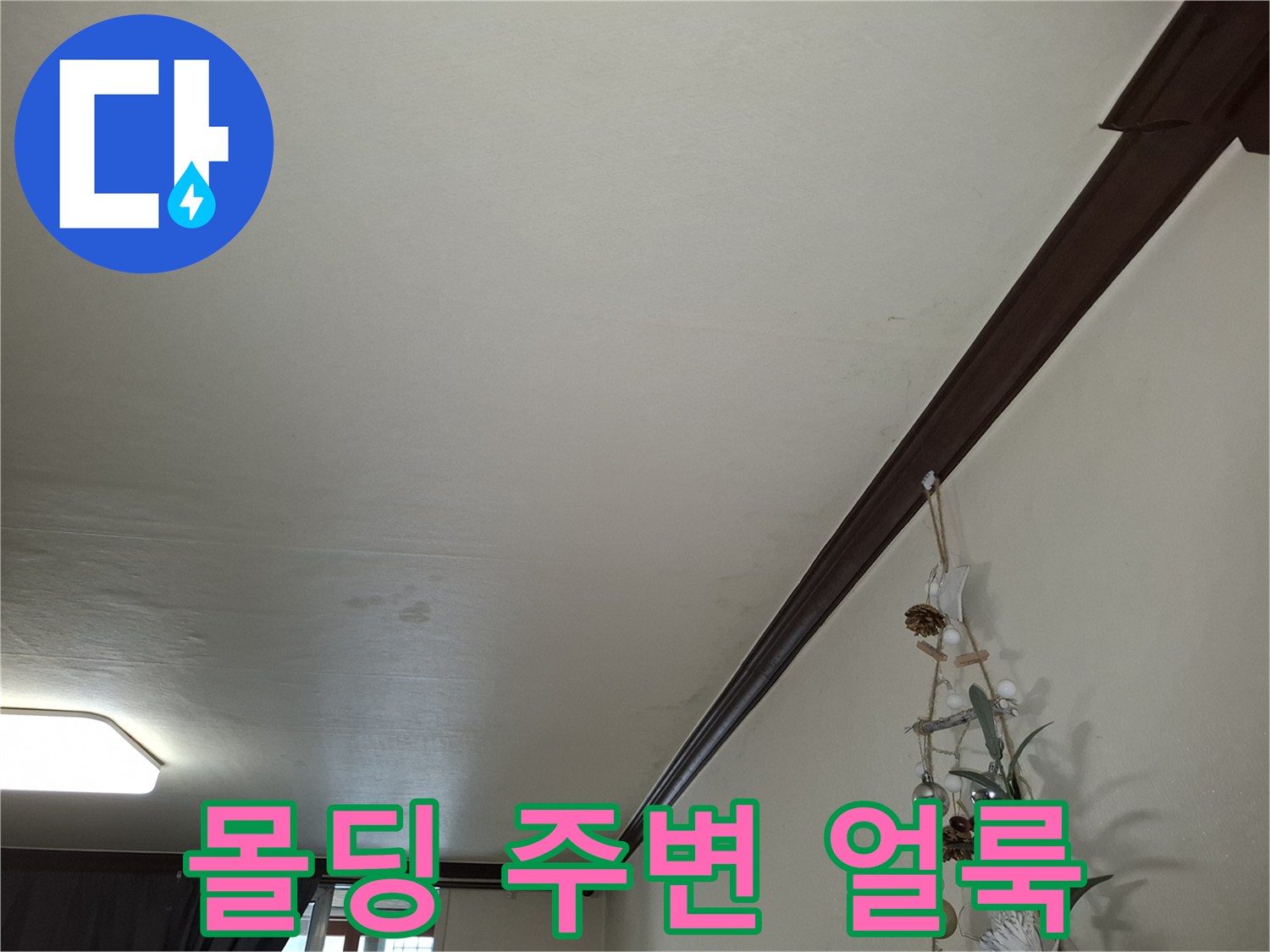 천장 몰딩과 천장판 사이의 습윤한 흔적