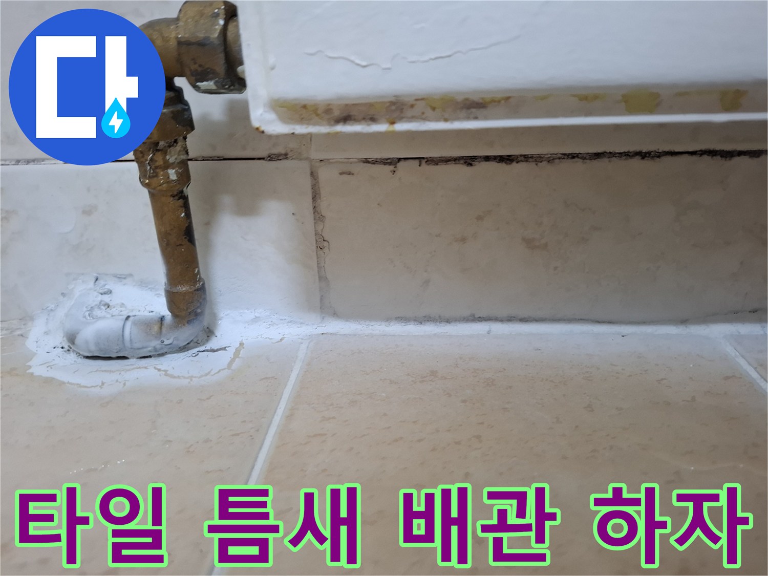 타일 줄눈 탈락 및 배관 주변 오염 부위 확인