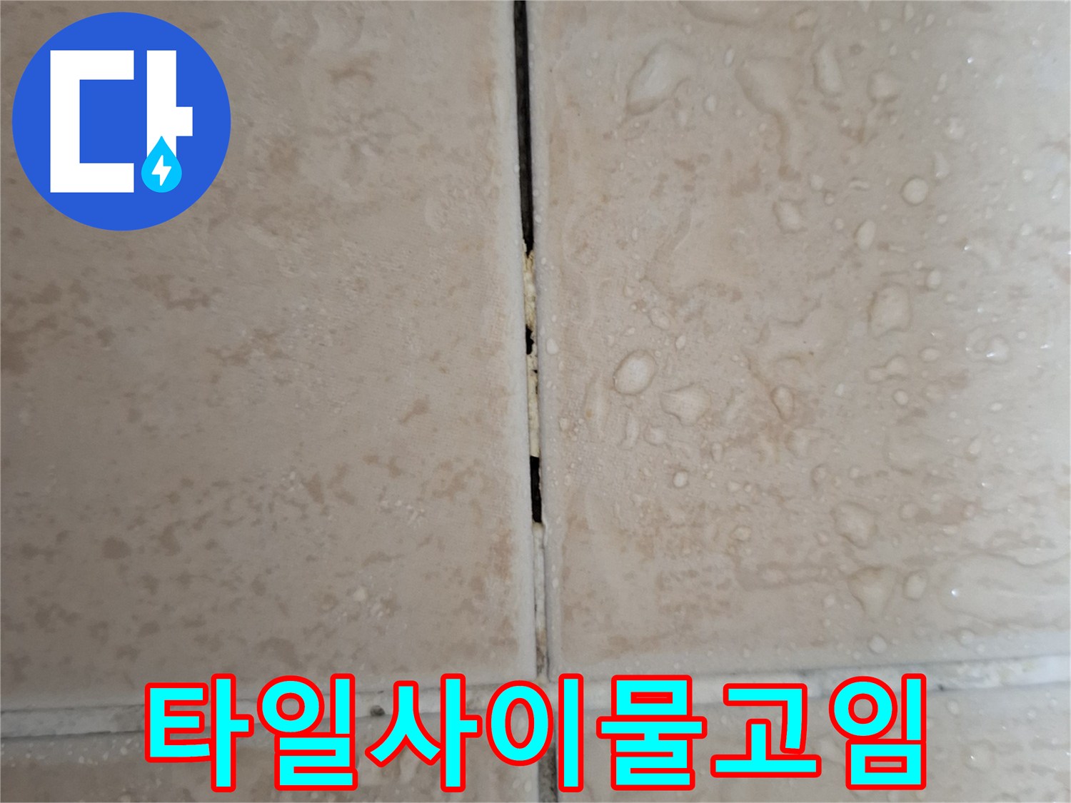 틈새로-스며든-물이-맺힌-타일-현장