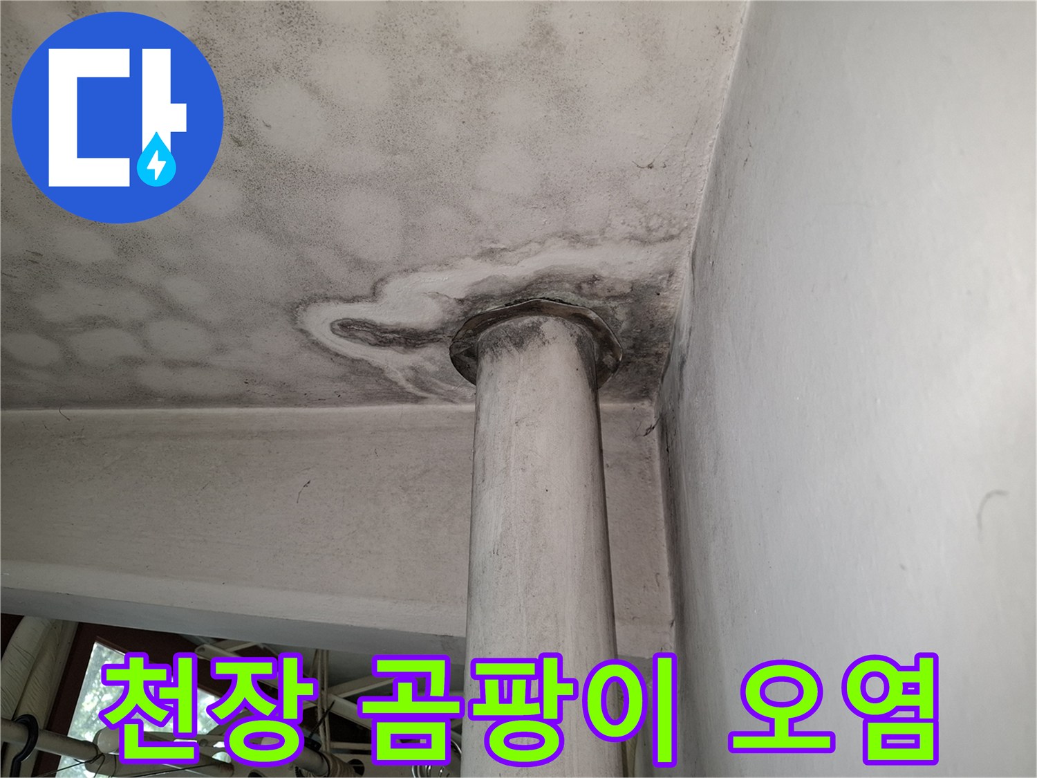 흰색 천장의 곰팡이와 물얼룩 피해 상황
