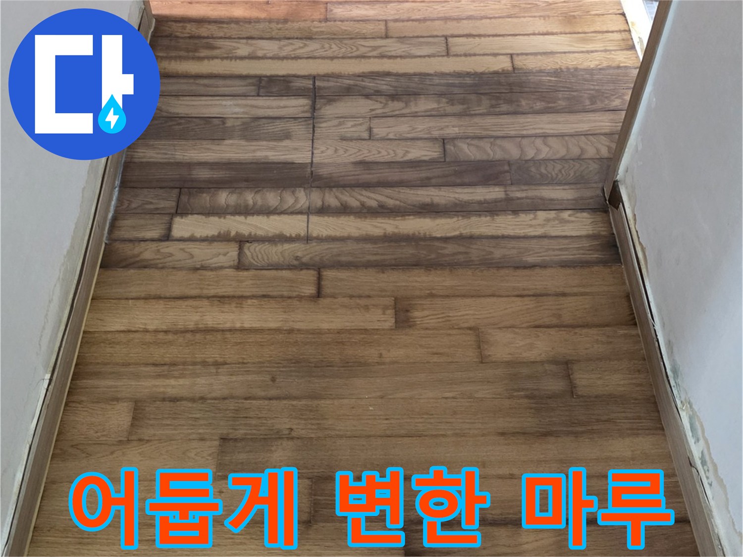 용인 수지 현장-누수 영향으로 습기를 머금은 마루재